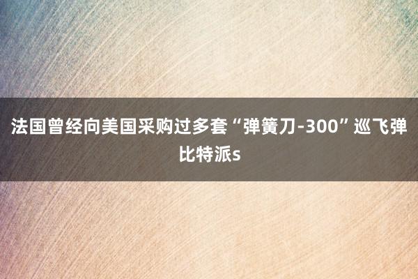 法国曾经向美国采购过多套“弹簧刀-300”巡飞弹比特派s