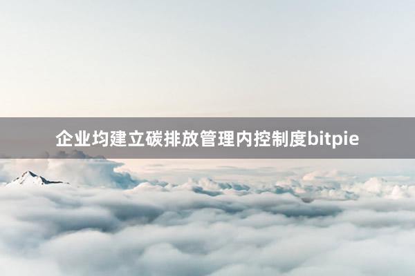 企业均建立碳排放管理内控制度bitpie