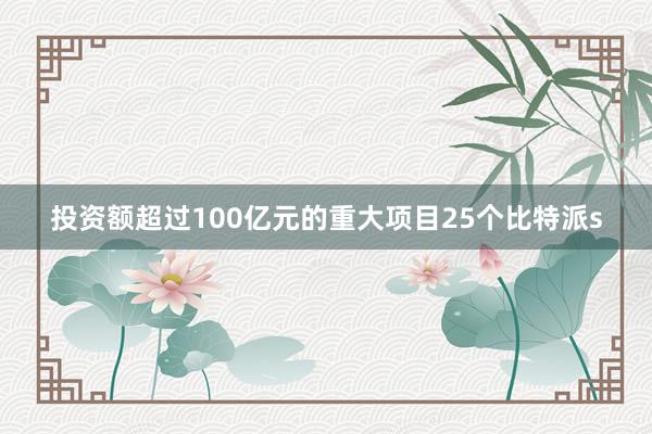 投资额超过100亿元的重大项目25个比特派s