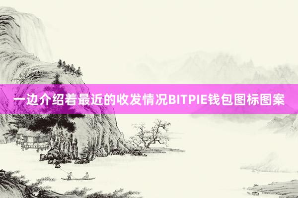 一边介绍着最近的收发情况BITPIE钱包图标图案