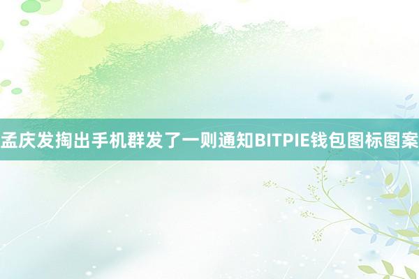 孟庆发掏出手机群发了一则通知BITPIE钱包图标图案