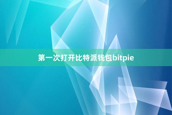 第一次打开比特派钱包bitpie