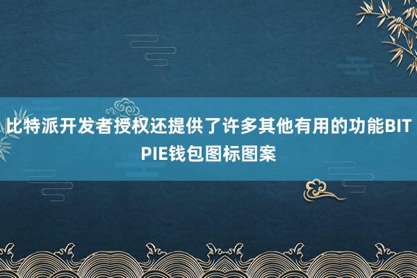 比特派开发者授权还提供了许多其他有用的功能BITPIE钱包图标图案