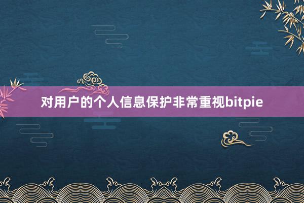 对用户的个人信息保护非常重视bitpie