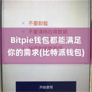 Bitpie钱包都能满足你的需求{比特派钱包}