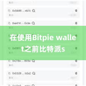 在使用Bitpie wallet之前比特派s